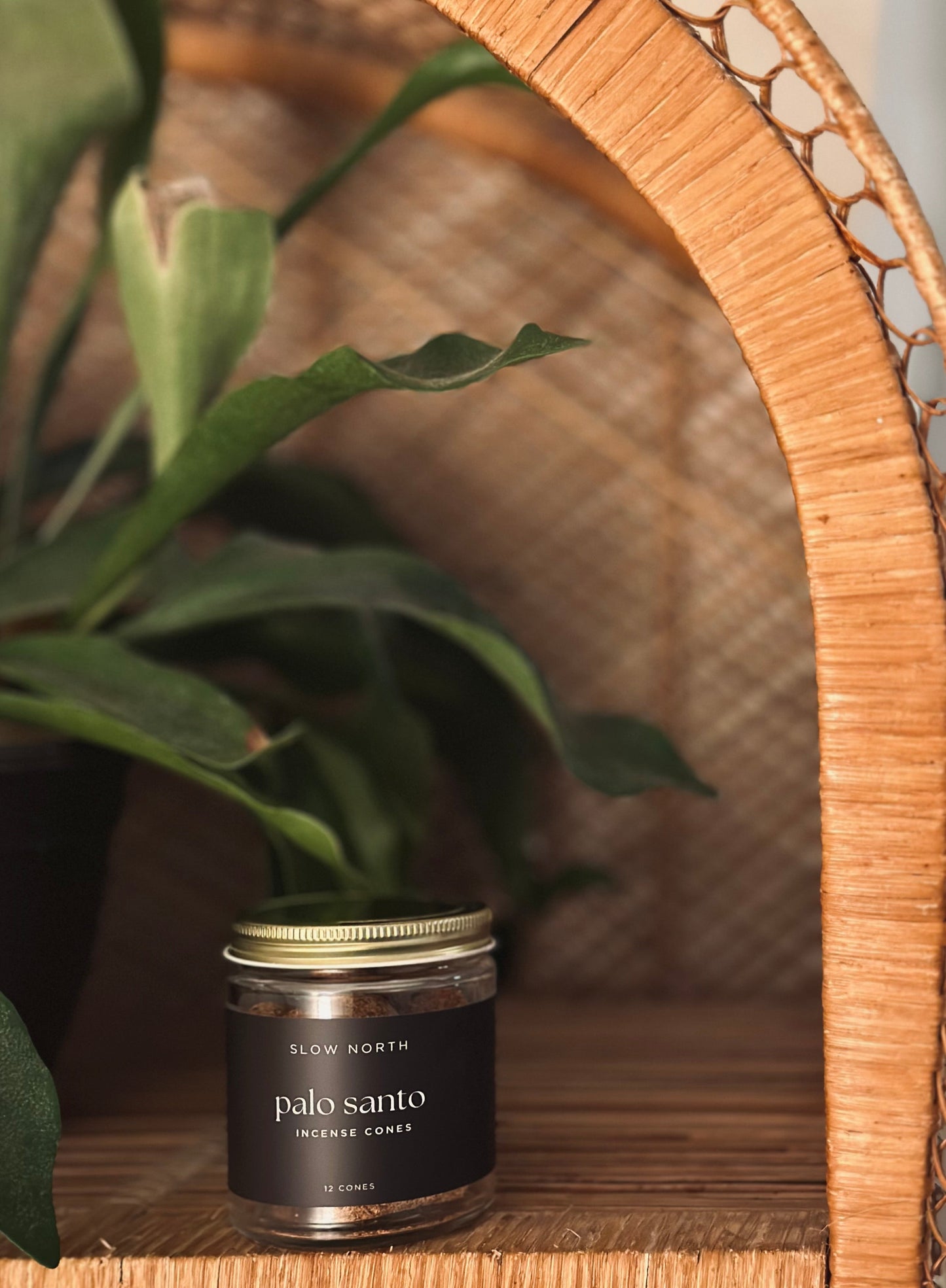 Jar of Palo Santo incense cones on a wooden shelf with plants in the background