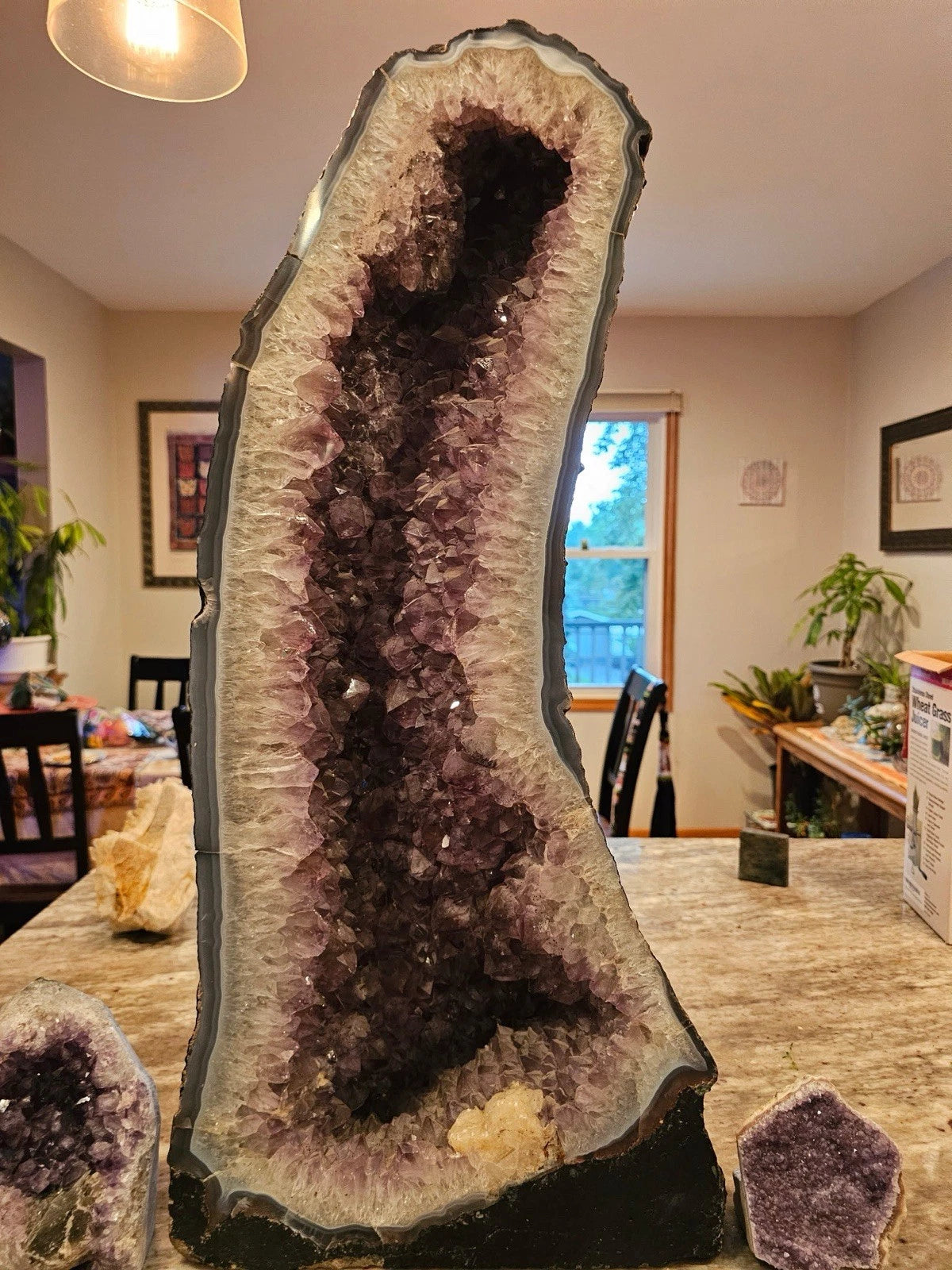 Massive 79.2lb Amethyst Geode Half - UV Reactive w/ Selenite Veins | Museum