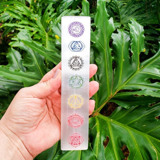 Hand holding a crystal with symbols against a green leafy background