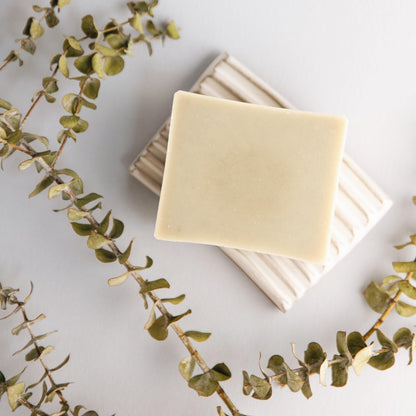 Bar of soap on a white surface with eucalyptus leaves
