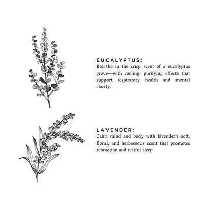 Illustrations of eucalyptus and lavender with descriptive text on a white background