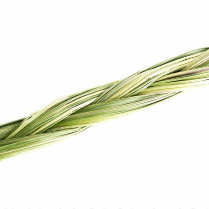 Close-up of a green braided cable on a white background